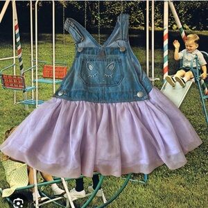 Denim and Lavender Tulle Dress